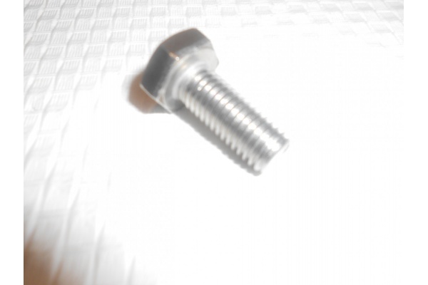 Csavar M10x25 rozsdamentes dobcsillaghoz-2